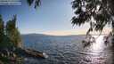 ./images/koeye/fitz-hugh/20250613/fitz-hugh20250613_191508M.jpg