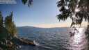 ./images/koeye/fitz-hugh/20250613/fitz-hugh20250613_193009M.jpg