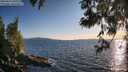 ./images/koeye/fitz-hugh/20250613/fitz-hugh20250613_201009M.jpg