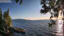 ./images/koeye/fitz-hugh/20250613/fitz-hugh20250613_201508M.jpg