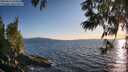./images/koeye/fitz-hugh/20250613/fitz-hugh20250613_202009M.jpg