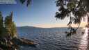 ./images/koeye/fitz-hugh/20250613/fitz-hugh20250613_202508M.jpg