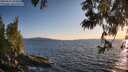 ./images/koeye/fitz-hugh/20250613/fitz-hugh20250613_204009M.jpg