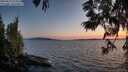 ./images/koeye/fitz-hugh/20250613/fitz-hugh20250613_215507M.jpg