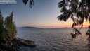 ./images/koeye/fitz-hugh/20250613/fitz-hugh20250613_220508M.jpg