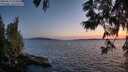 ./images/koeye/fitz-hugh/20250613/fitz-hugh20250613_221010M.jpg