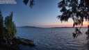 ./images/koeye/fitz-hugh/20250613/fitz-hugh20250613_222509M.jpg