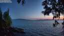 ./images/koeye/fitz-hugh/20250613/fitz-hugh20250613_223508M.jpg