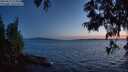 ./images/koeye/fitz-hugh/20250613/fitz-hugh20250613_224010M.jpg