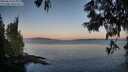 ./images/koeye/fitz-hugh/20250614/fitz-hugh20250614_054007M.jpg