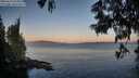 ./images/koeye/fitz-hugh/20250614/fitz-hugh20250614_054508M.jpg