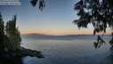 ./images/koeye/fitz-hugh/20250614/fitz-hugh20250614_055008M.jpg