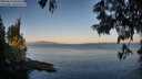 ./images/koeye/fitz-hugh/20250614/fitz-hugh20250614_061009M.jpg