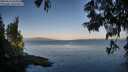 ./images/koeye/fitz-hugh/20250614/fitz-hugh20250614_063509M.jpg