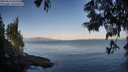 ./images/koeye/fitz-hugh/20250614/fitz-hugh20250614_065510M.jpg