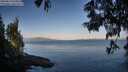 ./images/koeye/fitz-hugh/20250614/fitz-hugh20250614_070012M.jpg