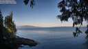 ./images/koeye/fitz-hugh/20250614/fitz-hugh20250614_070510M.jpg