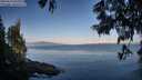./images/koeye/fitz-hugh/20250614/fitz-hugh20250614_071011M.jpg