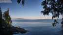 ./images/koeye/fitz-hugh/20250614/fitz-hugh20250614_071509M.jpg