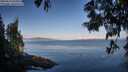 ./images/koeye/fitz-hugh/20250614/fitz-hugh20250614_072011M.jpg
