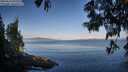 ./images/koeye/fitz-hugh/20250614/fitz-hugh20250614_072510M.jpg