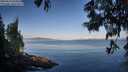 ./images/koeye/fitz-hugh/20250614/fitz-hugh20250614_073009M.jpg