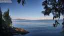 ./images/koeye/fitz-hugh/20250614/fitz-hugh20250614_073511M.jpg