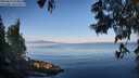 ./images/koeye/fitz-hugh/20250614/fitz-hugh20250614_074010M.jpg
