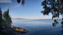 ./images/koeye/fitz-hugh/20250614/fitz-hugh20250614_074510M.jpg