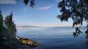 ./images/koeye/fitz-hugh/20250614/fitz-hugh20250614_075010M.jpg