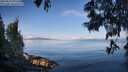 ./images/koeye/fitz-hugh/20250614/fitz-hugh20250614_075509M.jpg