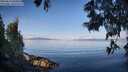 ./images/koeye/fitz-hugh/20250614/fitz-hugh20250614_080012M.jpg