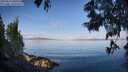 ./images/koeye/fitz-hugh/20250614/fitz-hugh20250614_080510M.jpg