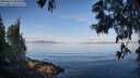./images/koeye/fitz-hugh/20250614/fitz-hugh20250614_081009M.jpg