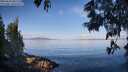 ./images/koeye/fitz-hugh/20250614/fitz-hugh20250614_081511M.jpg