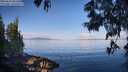 ./images/koeye/fitz-hugh/20250614/fitz-hugh20250614_082509M.jpg