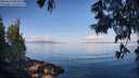 ./images/koeye/fitz-hugh/20250614/fitz-hugh20250614_083012M.jpg