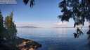 ./images/koeye/fitz-hugh/20250614/fitz-hugh20250614_084010M.jpg