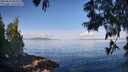 ./images/koeye/fitz-hugh/20250614/fitz-hugh20250614_084510M.jpg