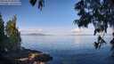 ./images/koeye/fitz-hugh/20250614/fitz-hugh20250614_085010M.jpg