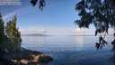./images/koeye/fitz-hugh/20250614/fitz-hugh20250614_090510M.jpg