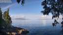 ./images/koeye/fitz-hugh/20250614/fitz-hugh20250614_091010M.jpg