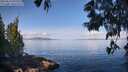 ./images/koeye/fitz-hugh/20250614/fitz-hugh20250614_092510M.jpg