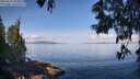 ./images/koeye/fitz-hugh/20250614/fitz-hugh20250614_093011M.jpg