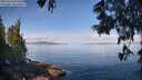 ./images/koeye/fitz-hugh/20250614/fitz-hugh20250614_093510M.jpg