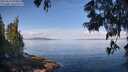 ./images/koeye/fitz-hugh/20250614/fitz-hugh20250614_094010M.jpg