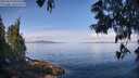 ./images/koeye/fitz-hugh/20250614/fitz-hugh20250614_095009M.jpg