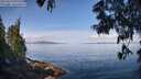 ./images/koeye/fitz-hugh/20250614/fitz-hugh20250614_095508M.jpg