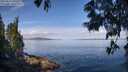 ./images/koeye/fitz-hugh/20250614/fitz-hugh20250614_101011M.jpg