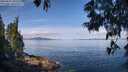./images/koeye/fitz-hugh/20250614/fitz-hugh20250614_101511M.jpg